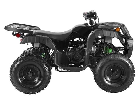 2025 Coolster ATV-3200U in Virginia Beach, Virginia - Photo 2