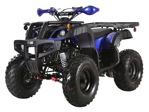2025 Coolster ATV-3200U in Virginia Beach, Virginia - Photo 1
