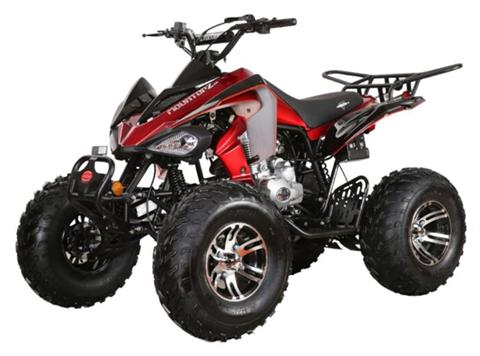 2025 Coolster ATV-3250S in Virginia Beach, Virginia