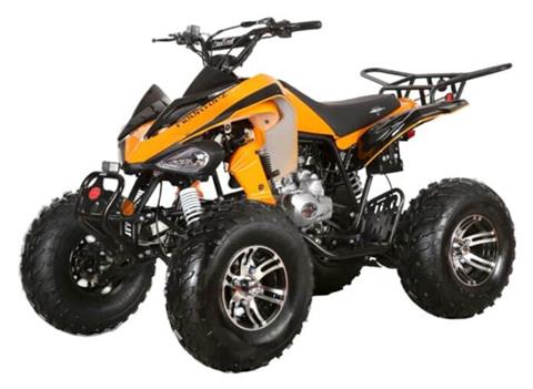 2025 Coolster ATV-3250S in Virginia Beach, Virginia - Photo 1