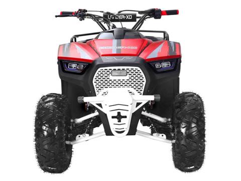 2025 Coolster Lander-XD 125UF in Virginia Beach, Virginia - Photo 3