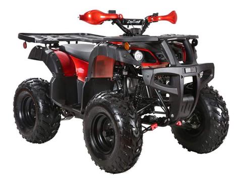 2025 Coolster ATV-3175U in San Antonio, Texas - Photo 4