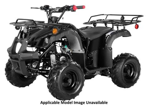 2025 Coolster ATV-3125R in Virginia Beach, Virginia
