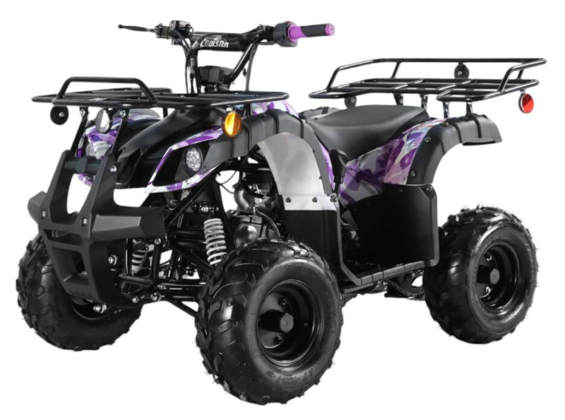 2025 Coolster ATV-3125R in Virginia Beach, Virginia - Photo 1