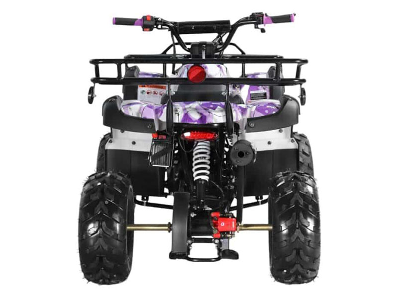 2025 Coolster ATV-3125R in Virginia Beach, Virginia - Photo 3