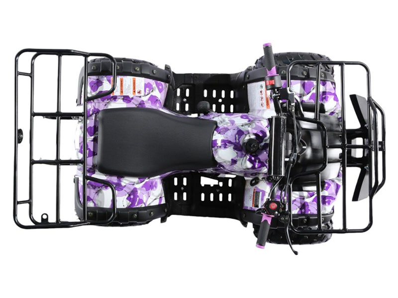 2025 Coolster ATV-3125R in Virginia Beach, Virginia - Photo 4