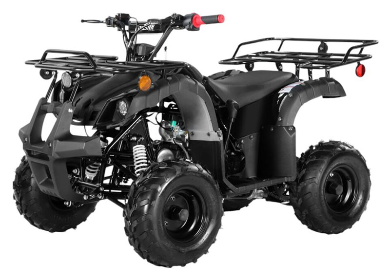 2025 Coolster ATV-3125R in Virginia Beach, Virginia - Photo 1