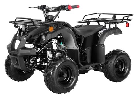 2025 Coolster ATV-3125R in Virginia Beach, Virginia - Photo 1