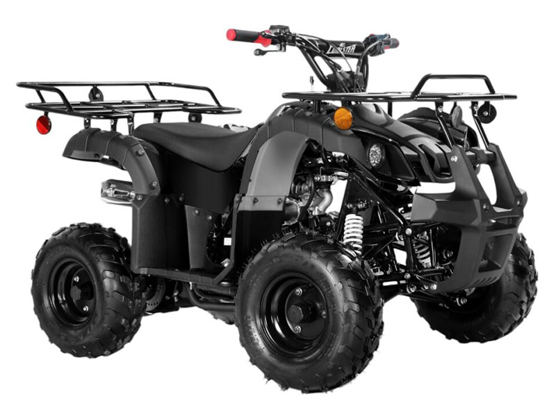 2025 Coolster ATV-3125R in Virginia Beach, Virginia - Photo 2