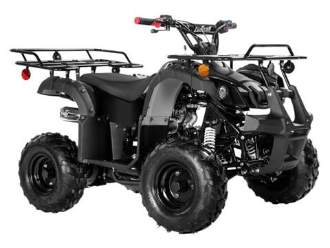 2025 Coolster ATV-3125R in Virginia Beach, Virginia - Photo 2