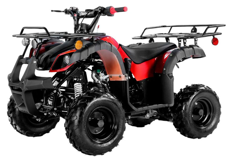 2025 Coolster ATV-3125R in Virginia Beach, Virginia - Photo 1