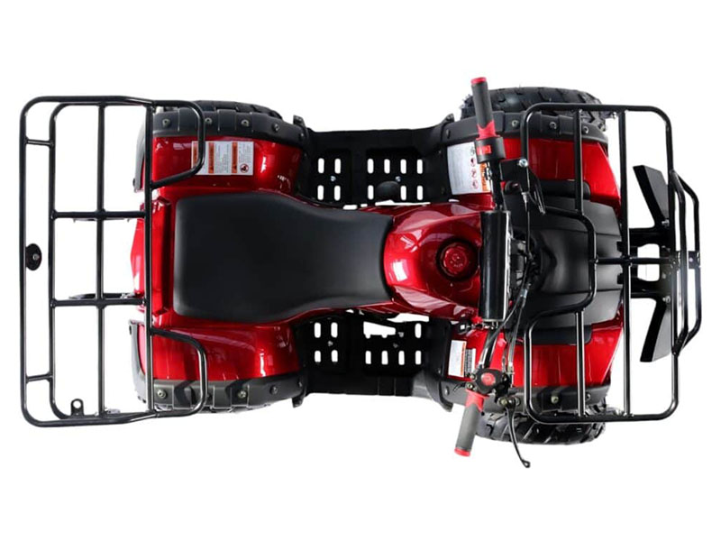 2025 Coolster ATV-3125R in Virginia Beach, Virginia - Photo 4