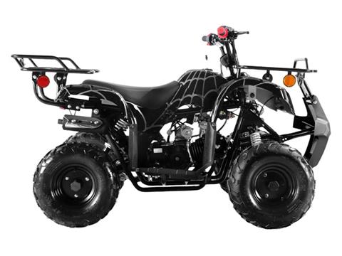 2025 Coolster ATV-3125R in Virginia Beach, Virginia - Photo 2