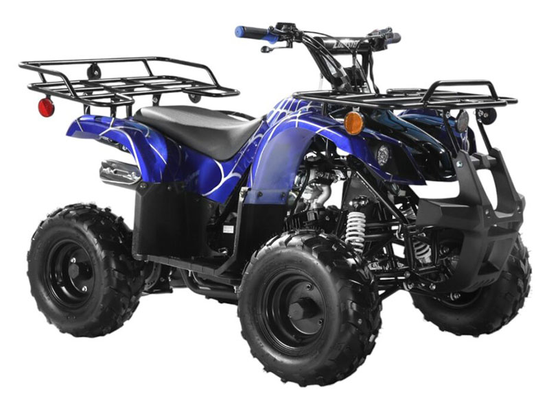 2025 Coolster ATV-3125R in Virginia Beach, Virginia - Photo 2