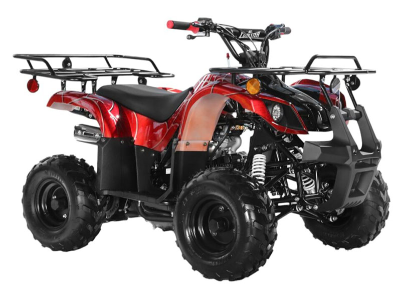 2025 Coolster ATV-3125R in Virginia Beach, Virginia - Photo 2