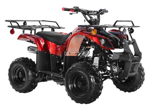 2025 Coolster ATV-3125R in Virginia Beach, Virginia - Photo 2