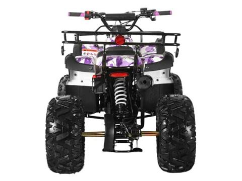 2025 Coolster ATV-3125XR8-U2 in Virginia Beach, Virginia - Photo 4