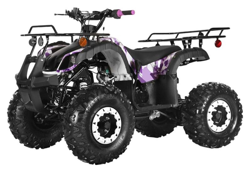 2025 Coolster ATV-3125XR8-U2 in Virginia Beach, Virginia - Photo 1