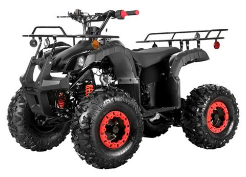 2025 Coolster ATV-3125XR8-U2 in Virginia Beach, Virginia - Photo 1