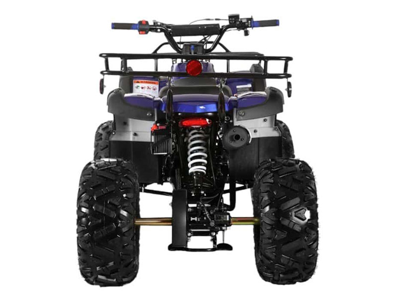 2025 Coolster ATV-3125XR8-U2 in Virginia Beach, Virginia - Photo 4