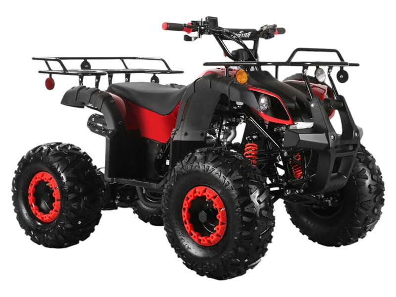 2025 Coolster ATV-3125XR8-U2 in Virginia Beach, Virginia - Photo 2