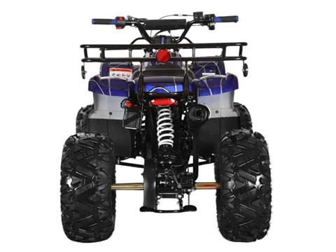 2025 Coolster ATV-3125XR8-U2 in Virginia Beach, Virginia - Photo 4