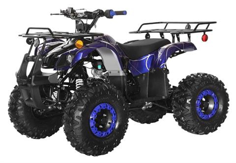 2025 Coolster ATV-3125XR8-U2 in Virginia Beach, Virginia - Photo 1