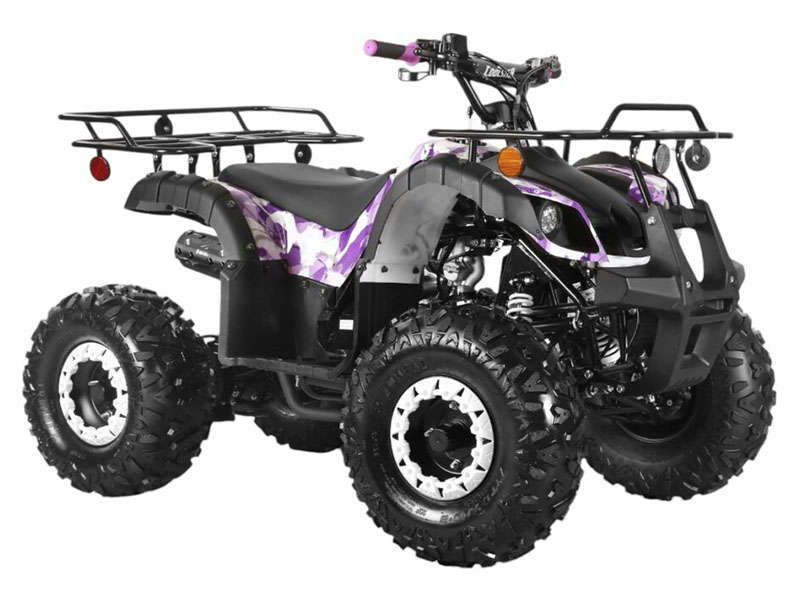 2025 Coolster ATV-3125XR8-US in Virginia Beach, Virginia - Photo 2