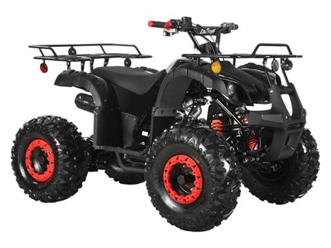 2025 Coolster ATV-3125XR8-US in Virginia Beach, Virginia - Photo 3