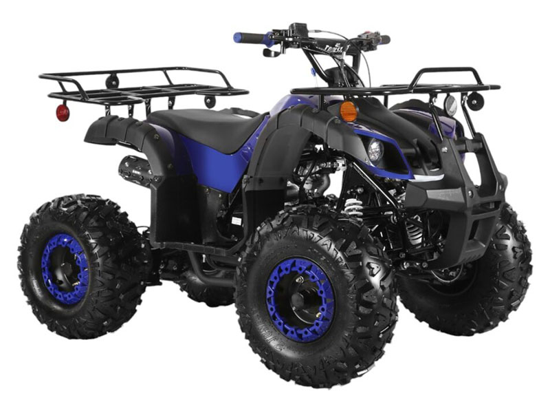 2025 Coolster ATV-3125XR8-US in Virginia Beach, Virginia - Photo 2