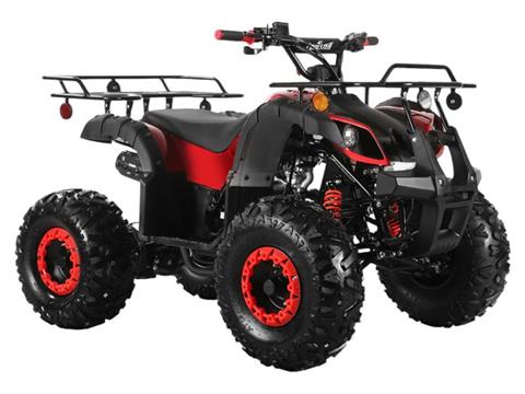 2025 Coolster ATV-3125XR8-US in Virginia Beach, Virginia - Photo 2