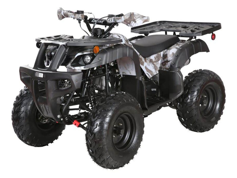 2025 Coolster ATV-3150DX-4 in Virginia Beach, Virginia - Photo 1