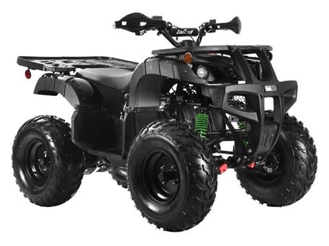 2025 Coolster ATV-3150DX-4 in Virginia Beach, Virginia - Photo 4