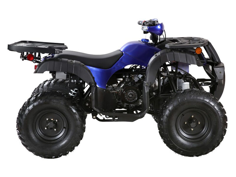 2025 Coolster ATV-3150DX-4 in Virginia Beach, Virginia - Photo 2