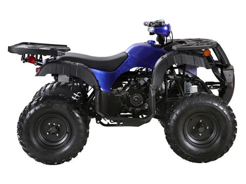 2025 Coolster ATV-3150DX-4 in Virginia Beach, Virginia - Photo 2