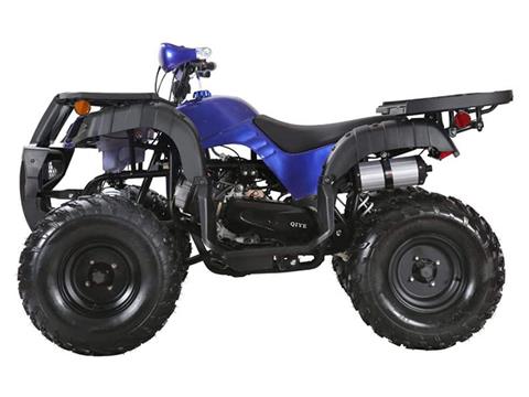 2025 Coolster ATV-3150DX-4 in Virginia Beach, Virginia - Photo 3