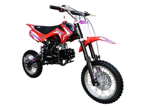 2025 Coolster XR-125A Manual in San Antonio, Texas - Photo 2