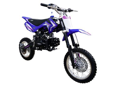 2025 Coolster XR-125A Automatic in San Antonio, Texas - Photo 2