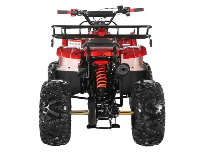 2025 Coolster ATV-3125XR8-US in Virginia Beach, Virginia - Photo 4