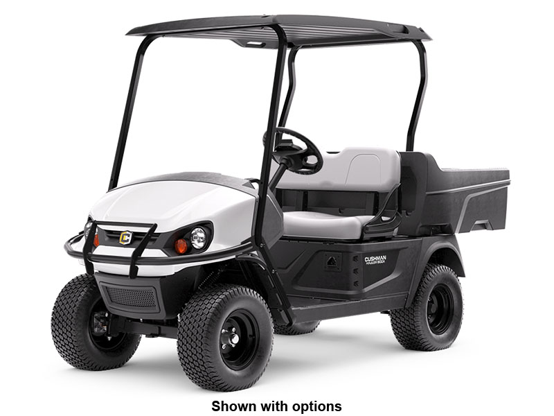 2024 Cushman Hauler 800X ELiTE Lithium in Laconia, New Hampshire - Photo 1
