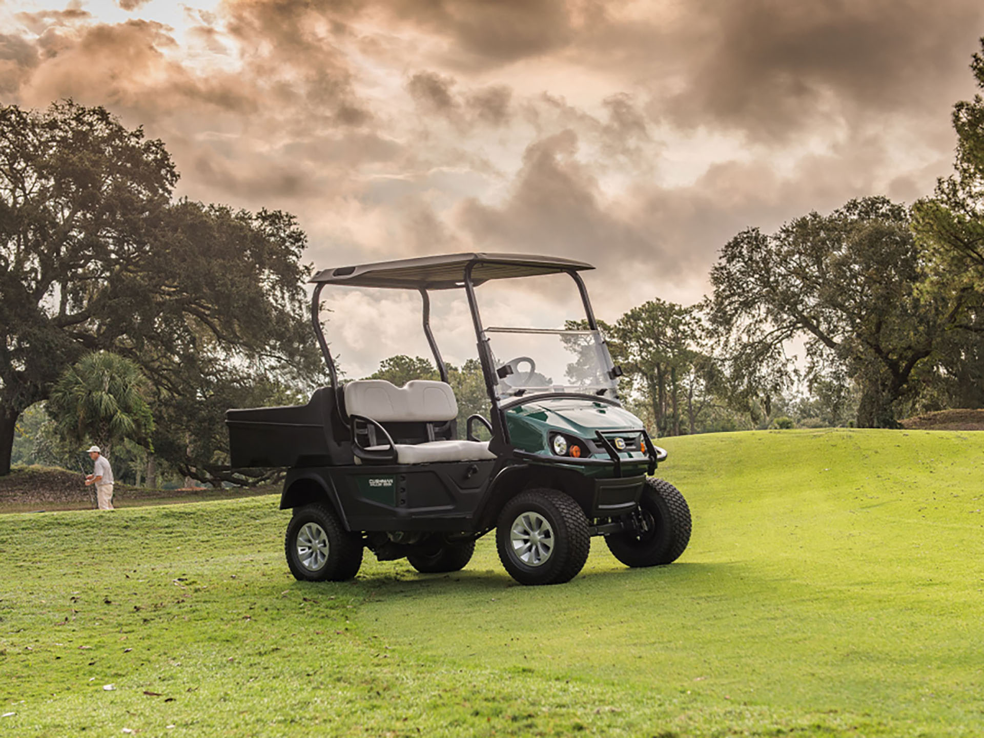 2024 Cushman Hauler 800X ELiTE Lithium in Laconia, New Hampshire - Photo 5