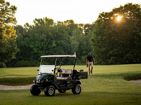 2024 Cushman Hauler 800X ELiTE Lithium in Laconia, New Hampshire - Photo 4