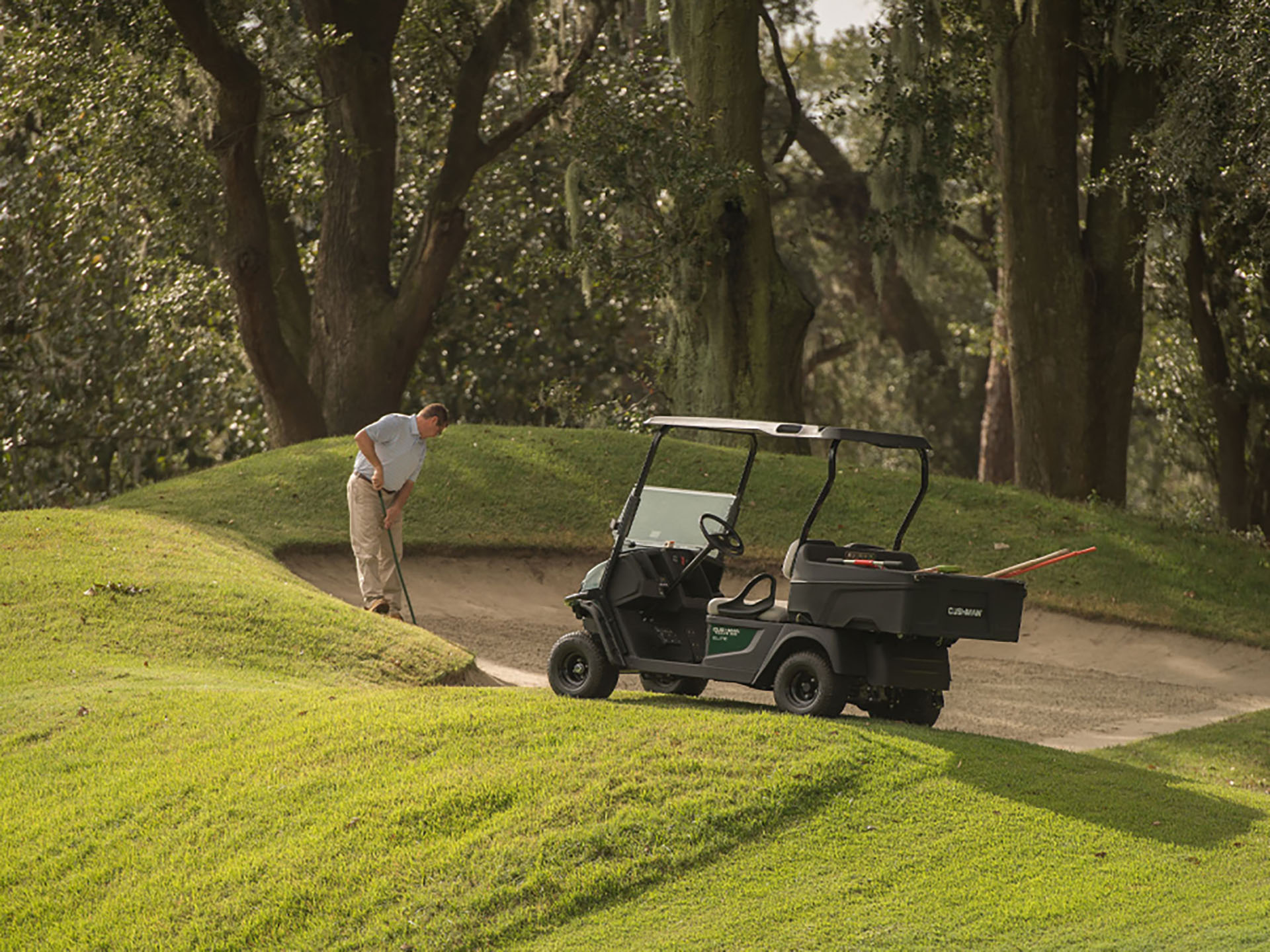 2024 Cushman Hauler 800 ELiTE Lithium in Laconia, New Hampshire - Photo 3