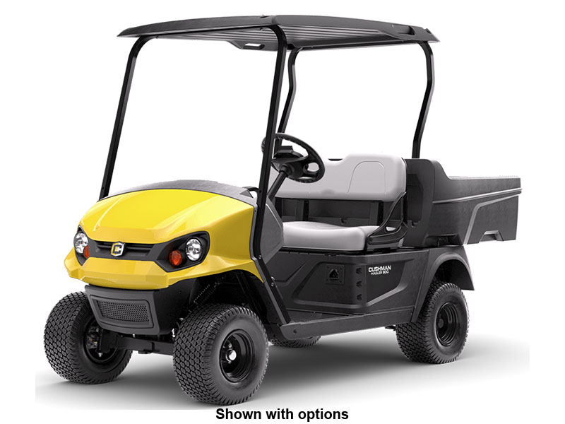 2024 Cushman Hauler 800 ELiTE Lithium in Laconia, New Hampshire - Photo 1