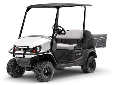 2025 Cushman Hauler 800 EFI Gas in Laconia, New Hampshire - Photo 1