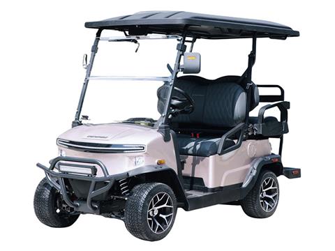 2025 Denago EV Nomad