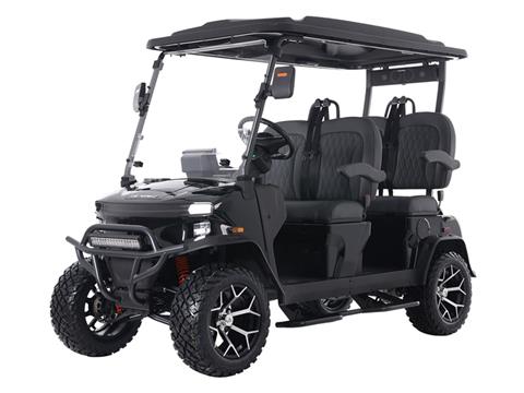 2025 Denago EV Rover XL