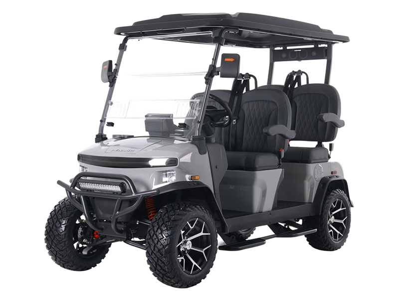 2025 Denago EV Rover XL in Virginia Beach, Virginia - Photo 1