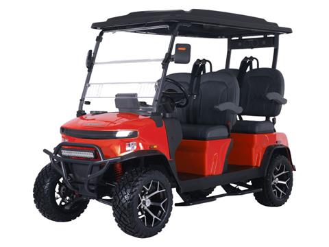 2025 Denago EV Rover XL