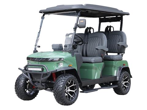 2025 Denago EV Rover XL